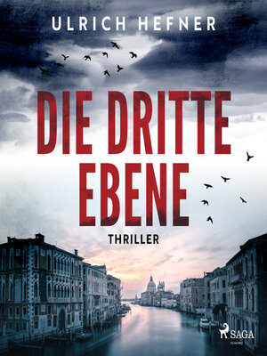 cover image of Die dritte Ebene